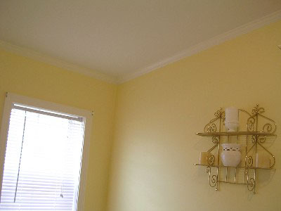 NePaintingandWallpapering.com