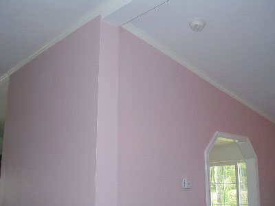 NePaintingandWallpapering.com
