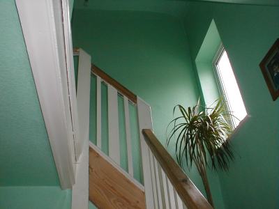 NePaintingandWallpapering.com