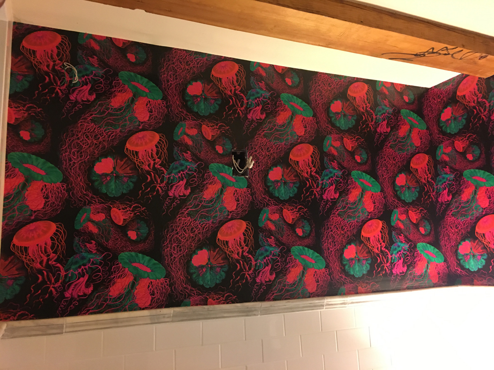 NePaintingandWallpapering.com